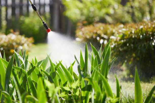 24/7 Emergency Bed Bug Control experts in Park Layne, OH