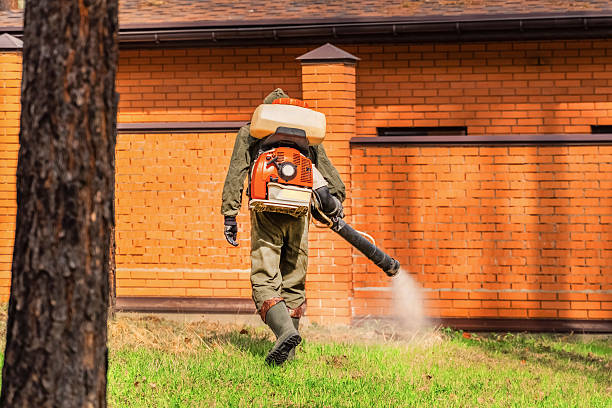 Trusted Termite Control service in Park Layne, OH - Nex Pest Control
